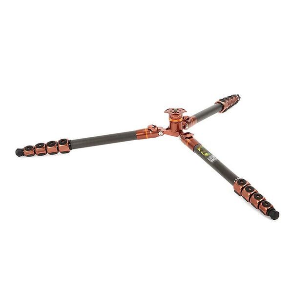 3 Legged Thing Legends Bucky  bronze