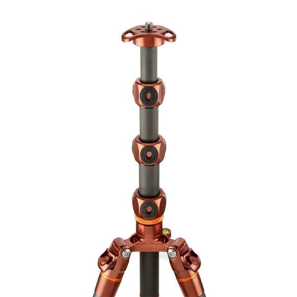 3 Legged Thing Legends Bucky  bronze