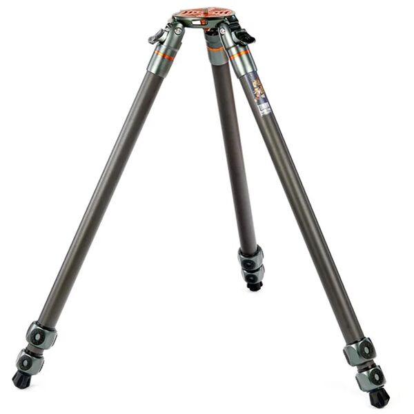 3 Legged Thing Legends Tommy Hybrid 