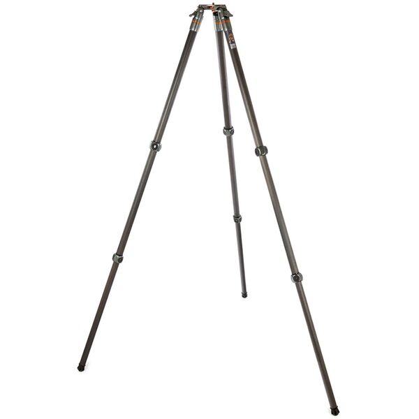 3 Legged Thing Legends Tommy Hybrid 