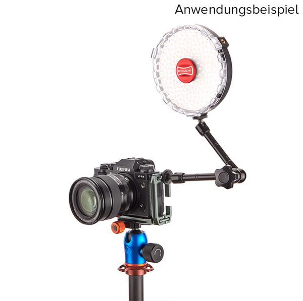 3 Legged Thing LEXIE Arca L Bracket  grau