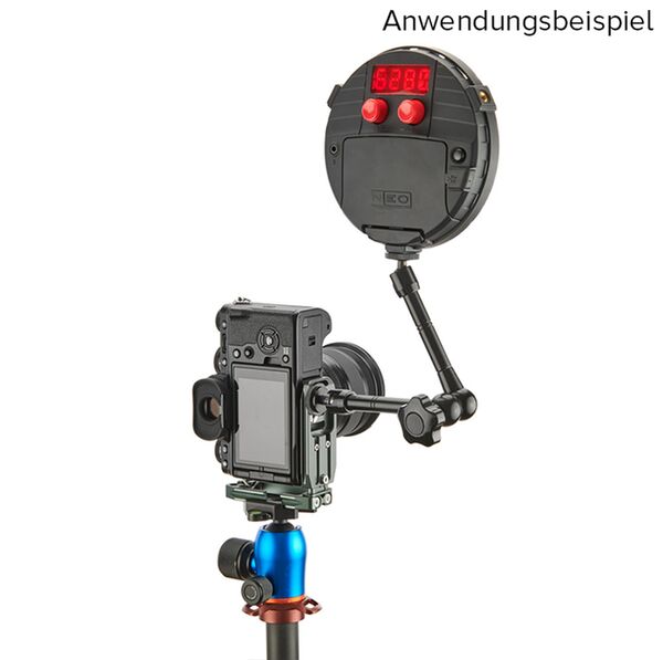 3 Legged Thing LEXIE Arca L Bracket  grau