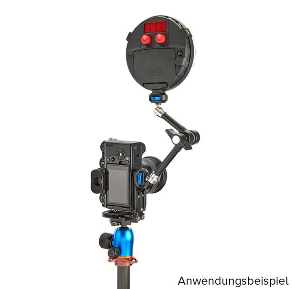 3 Legged Thing LEXIE Arca L Bracket  schwarz