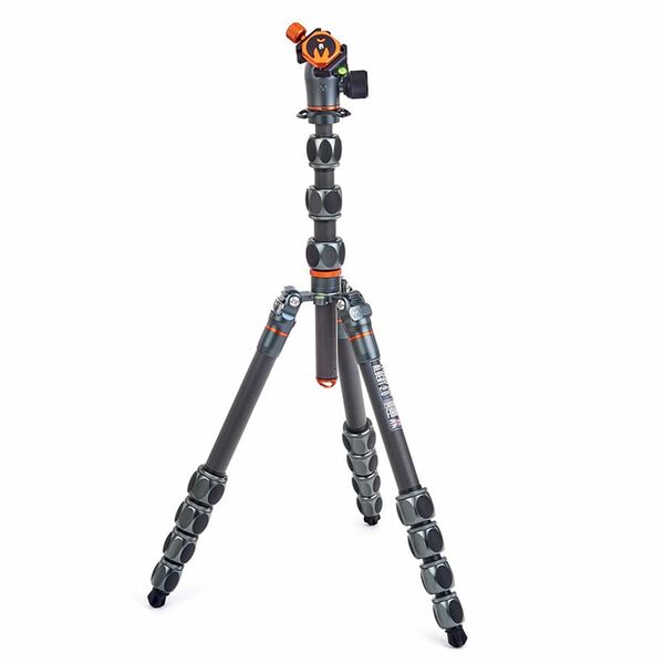 3 Legged Thing Pro 2.0 Albert - professionelles Carbon-Reisestativ mit Kugelkopf AirHed Pro  grau