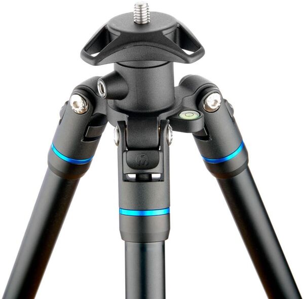 3 Legged Thing Punks Travis 2.0 with Airhed Neo 2.0  Blau