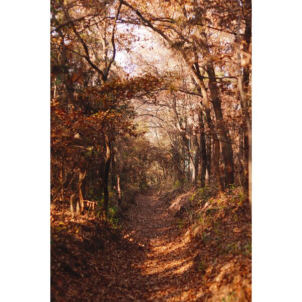 7Artisans 18mm f/6,3 II   Fujifilm X