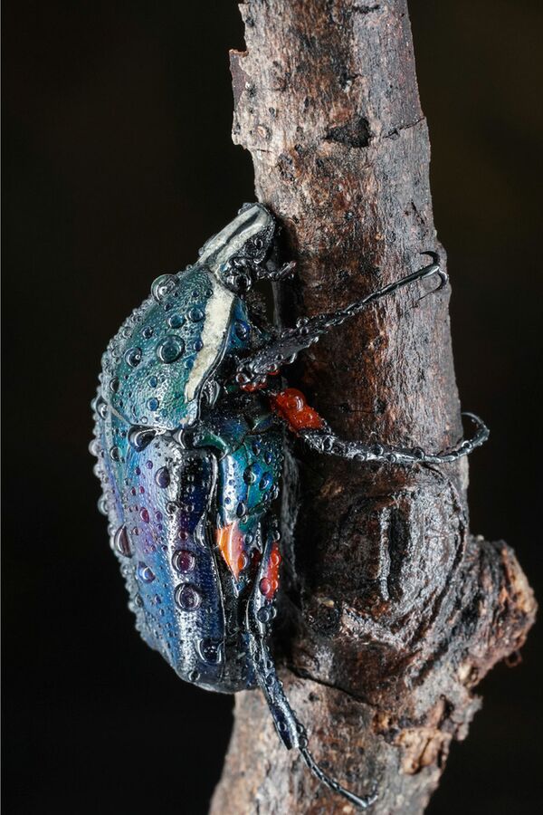 7Artisans 60mm f/2,8 II  Micro Four Thirds