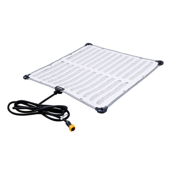 Amaran F22c (EU version) 