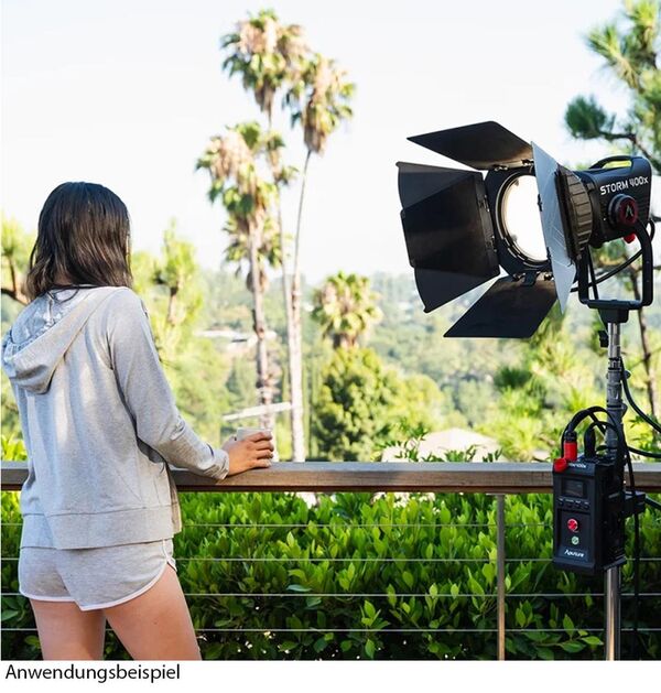 Aputure CF7 Fresnel and Barn Doors Kit 