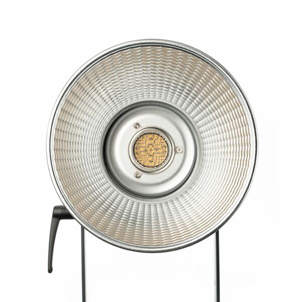 Aputure Light Storm Series LS C300X (V-mount) Kit 