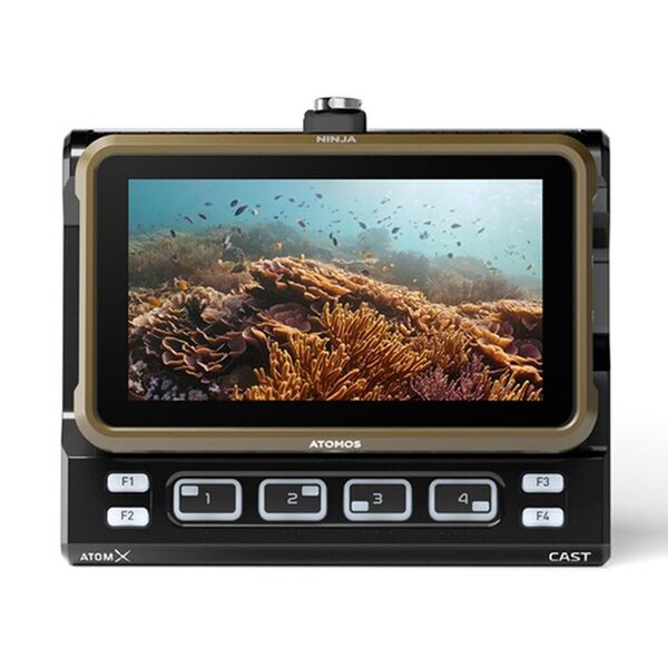 Atomos Ninja Monitor/Recorder  standard 5 Zoll