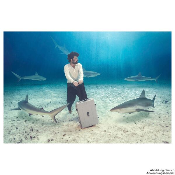 B&W Outdoor.cases Type 6600  Schaumstoff schwarz