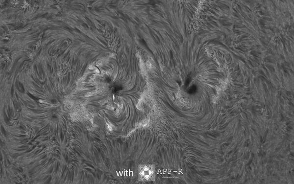 Baader Triband-SCT – Multi-Purpose-Teleskop auf SC-Basis, für Sonne & Deep Sky  8 Zoll SCT
