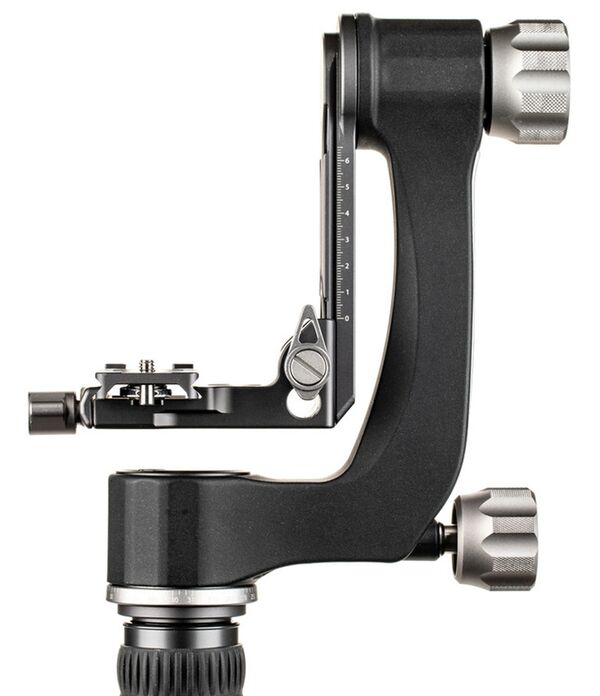Benro Gimbal Kopf GH2N inkl. Wechselplatte 