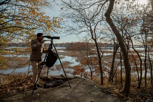 Benro Stativ Mammoth Carbon inkl. Stativkopf 