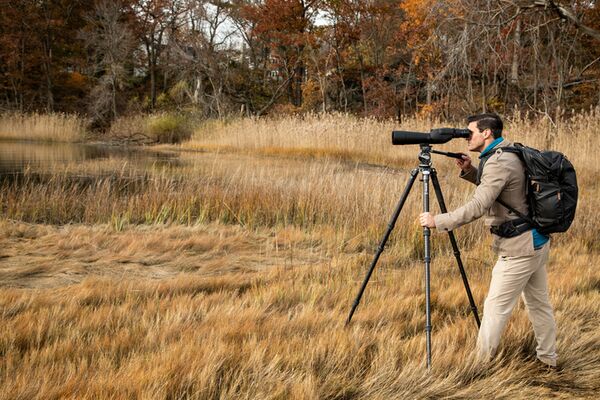 Benro Stativ Mammoth Carbon inkl. Stativkopf 