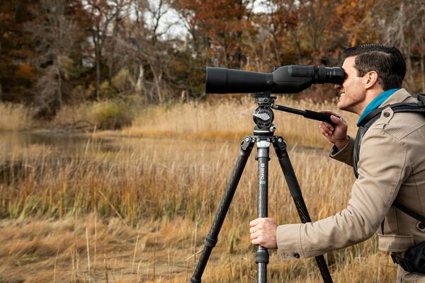 Benro Stativ Mammoth Carbon inkl. Stativkopf 