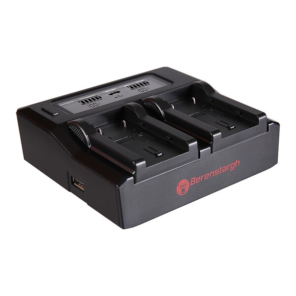 Berenstargh Dual LCD Ladegerät JVC  BN-VF808U/VF815U/VF823U/VF908U, 8.4V