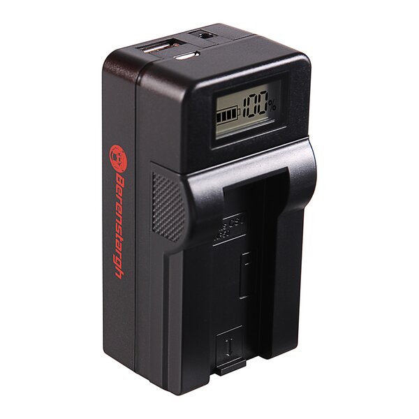 Berenstargh Synchron Ladegerät Casio  NP-50, 4.2V