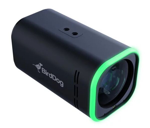 BirdDog MAKI 2160P (4K UHD) Box Camera with 12x Zoom  Ultra Black