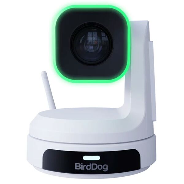 BirdDog X1 1080P PTZ Camera with 20x Zoom  weiß