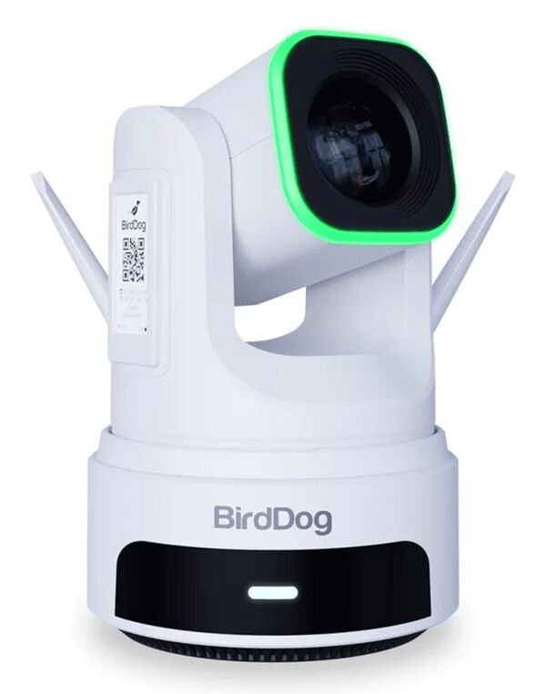 BirdDog X4 Ultra PTZ Kamera  weiß