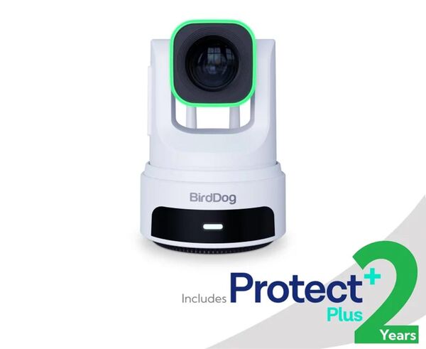 BirdDog X4 Ultra PTZ Kamera  weiß
