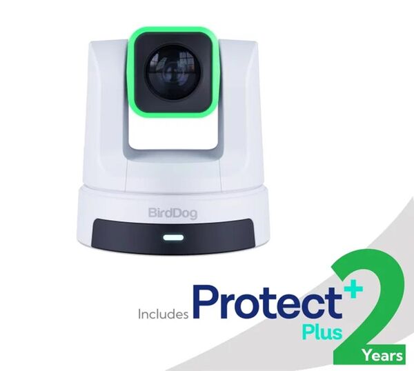 BirdDog X5 Ultra PTZ Kamera  weiß