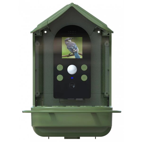 Braun Bird Cam 130 Solar, Wildkamera 