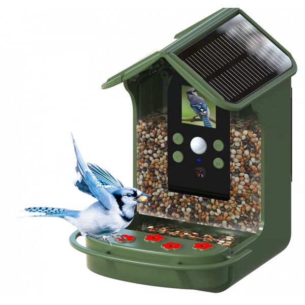 Braun Bird Cam 130 Solar, Wildkamera 