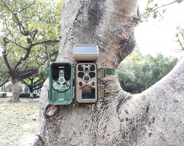 Braun Scouting Cam Black 400 WiFi Solar 