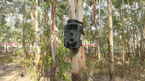 Braun Scouting Cam Black1300 WiFi 