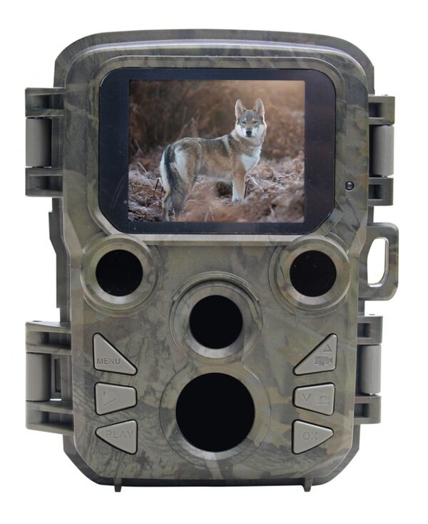 Braun Scouting Cam Black800 Mini 