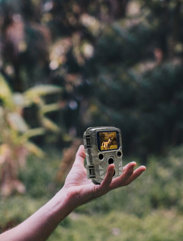 Braun Scouting Cam Black800 Mini 