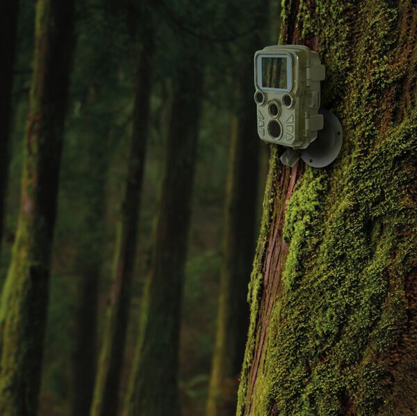 Braun Scouting Cam Black800 Mini 