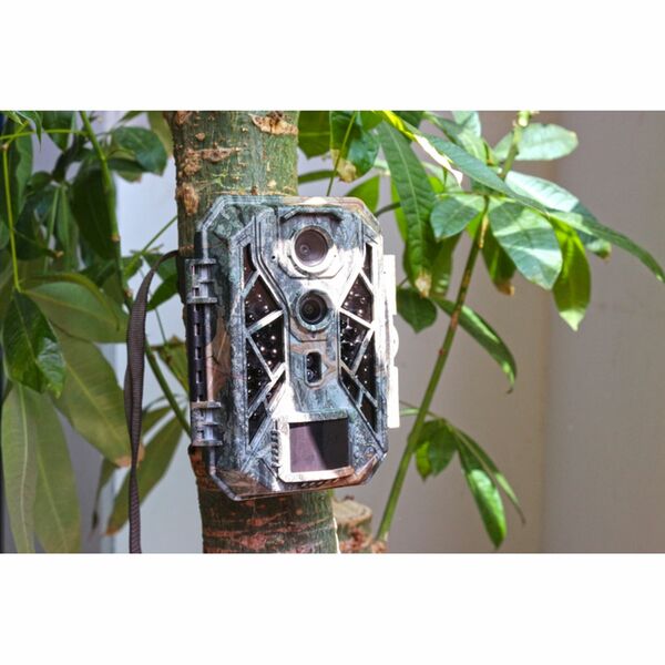 Braun Scouting Cam Black820 Dual Sensor 