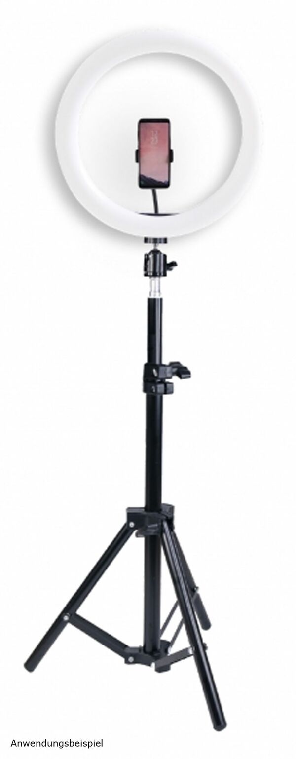 Braun VloggKit 100, (26cm)  LED Ringlicht, Kugelkopf, 50cm Stativ 