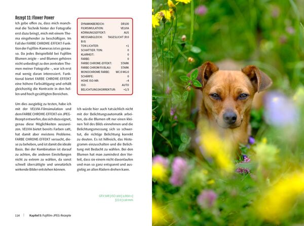Buch 33 JPEG-Rezepte für Fujifilm X-Kameras 