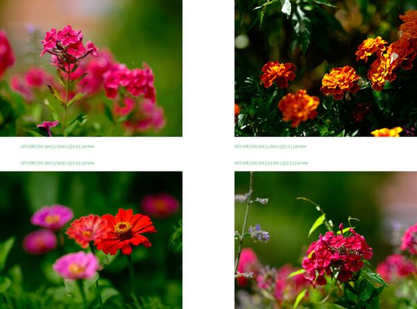 Buch 33 JPEG-Rezepte für Fujifilm X-Kameras 