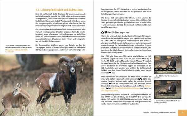 Buch Canon EOS R - Für bessere Fotos von Anfang an! 