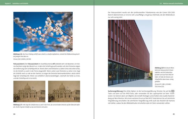 Buch Canon EOS R50 von Holger Haarmeyer 