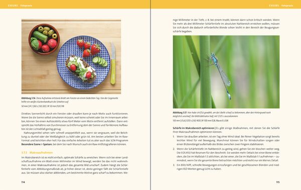 Buch Canon EOS R50 von Holger Haarmeyer 