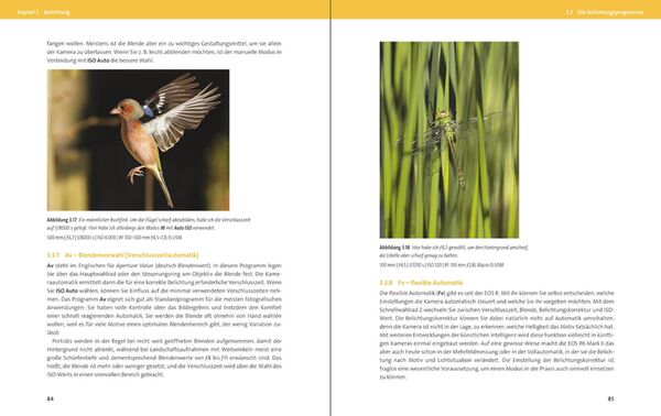 Buch Canon EOS R6 Mark II von Holger Haarmeyer 