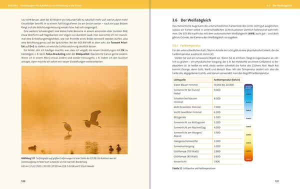 Buch Canon EOS R8 von Holger Haarmeyer 