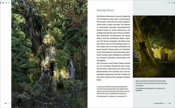 Buch Faszination Lost Places: Morbide Orte gekonnt fotografieren 