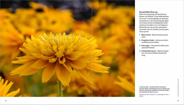 Buch Garten-Shooting - Die Fotoschule, die Bilder zum Blühen bringt 