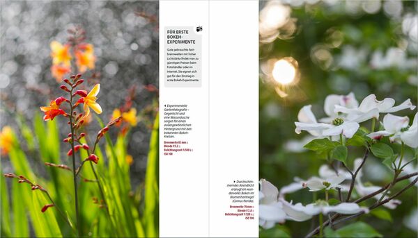 Buch Garten-Shooting - Die Fotoschule, die Bilder zum Blühen bringt 