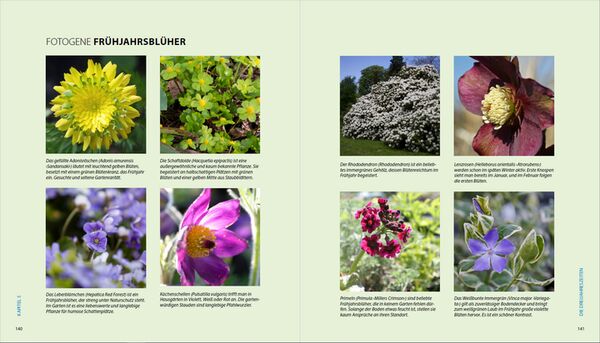 Buch Garten-Shooting - Die Fotoschule, die Bilder zum Blühen bringt 