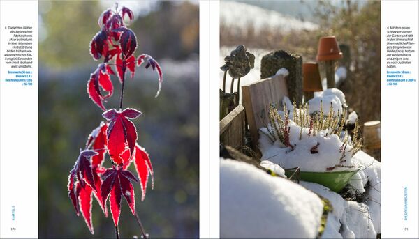 Buch Garten-Shooting - Die Fotoschule, die Bilder zum Blühen bringt 