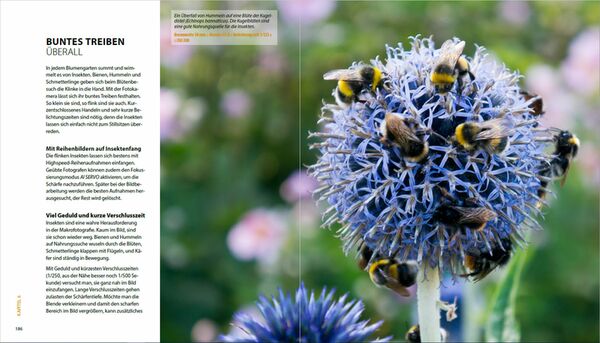 Buch Garten-Shooting - Die Fotoschule, die Bilder zum Blühen bringt 